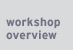 workshop overview